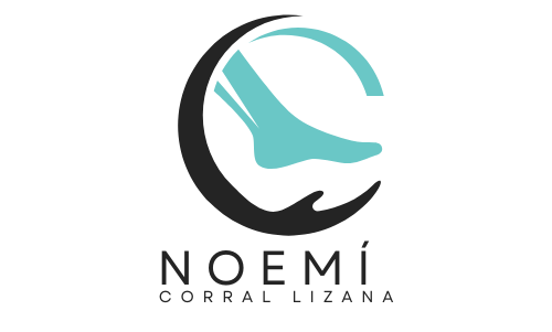 Noemi logo